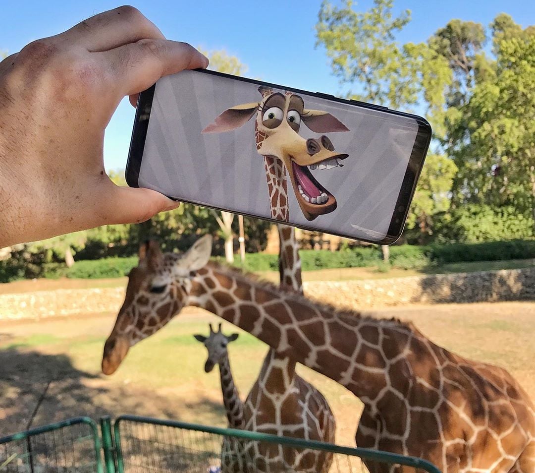 Foto kocak perpaduan antara obyek dunia nyata dengan smartphone ini bikin senyum tipis